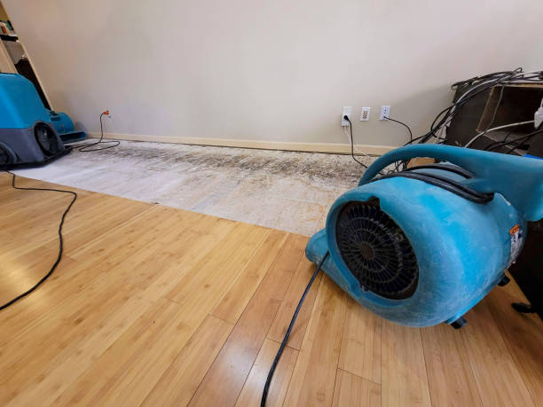 Professional Sewage Cleanup technician working in University Park, TX